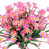 Pink est en rupture de stock