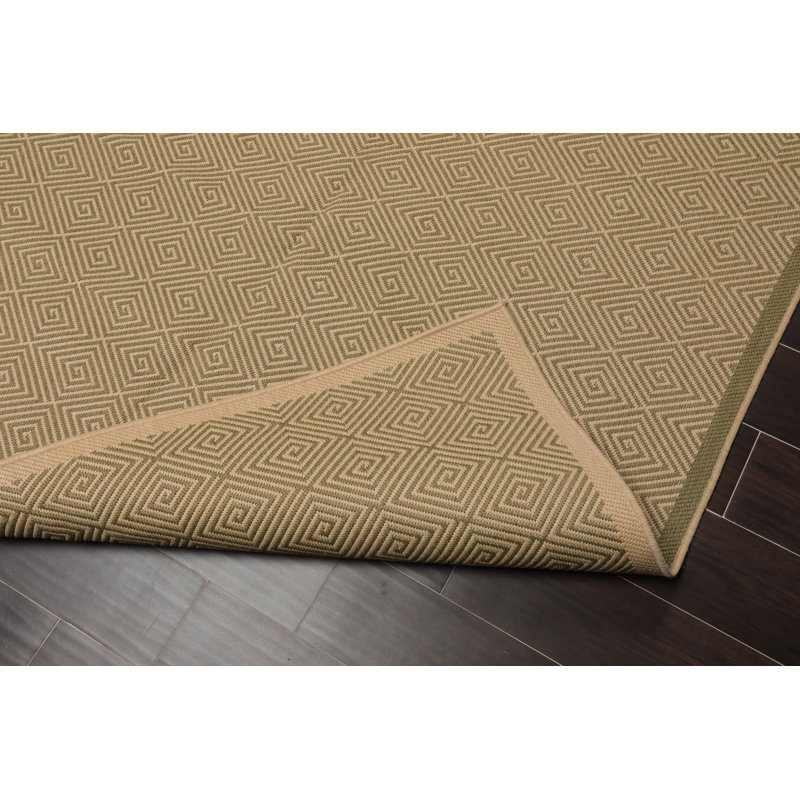 Demoss Indoor Rug