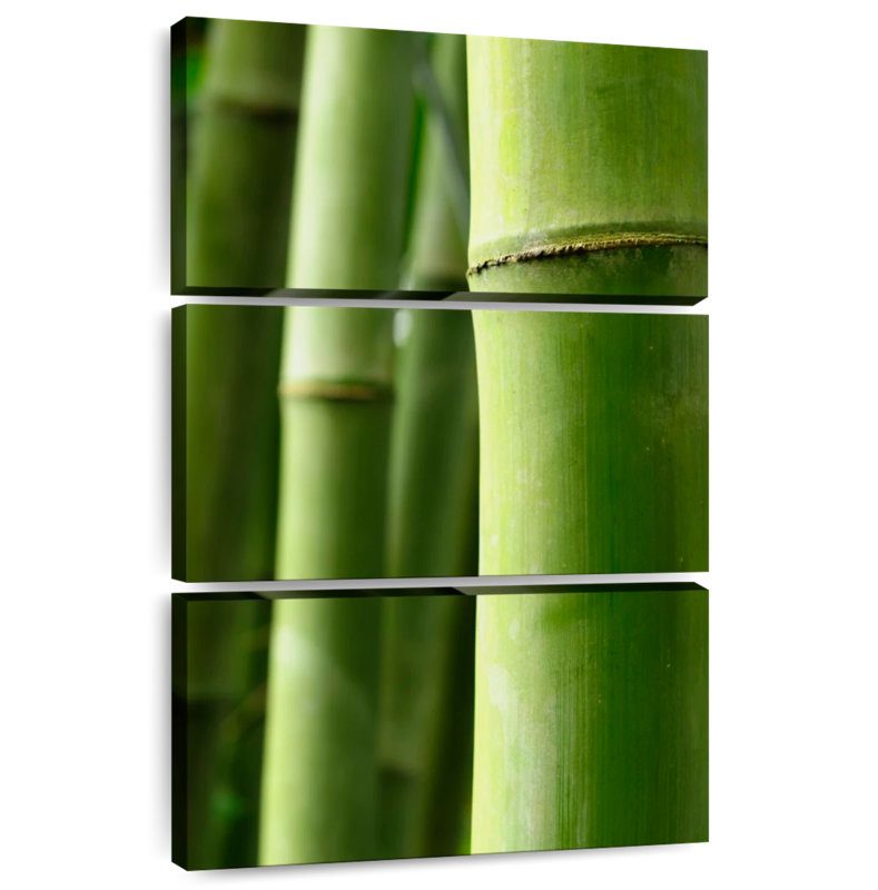 Bois de bambou Harnek, H 45 po x l 28 po