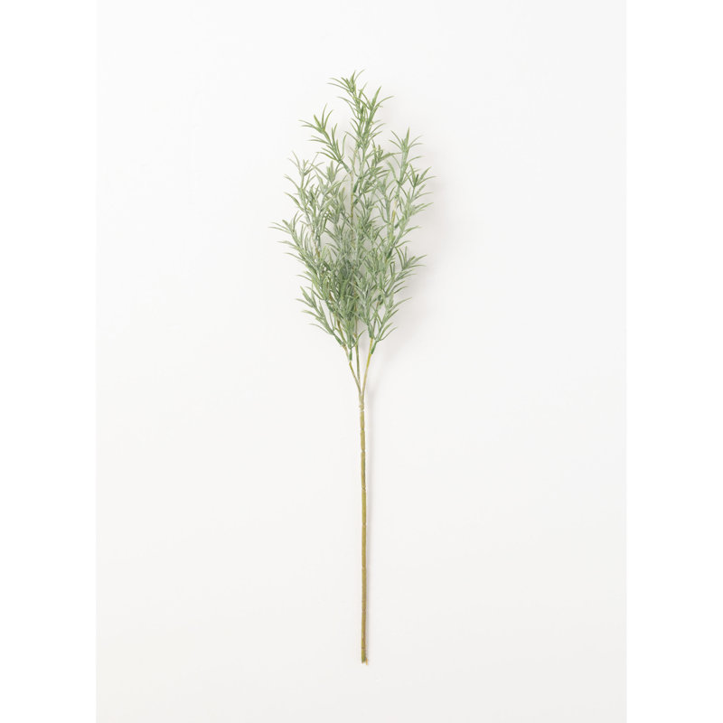 Branche rosemary