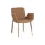 Upholstered Arm Chair