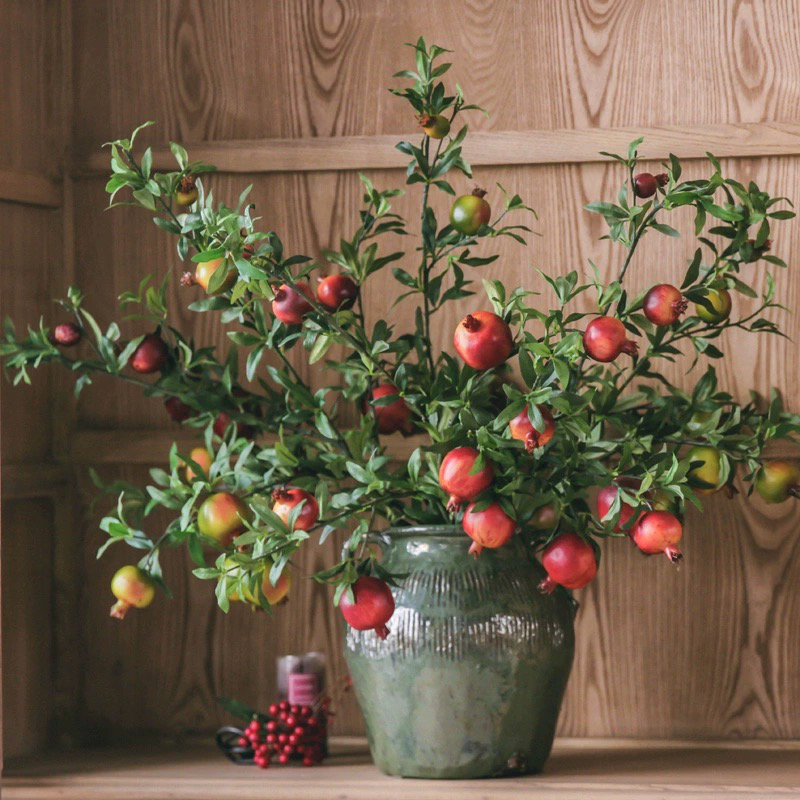 Tige de faux grenadier à gros fruits 32 po de hauteur, Vert