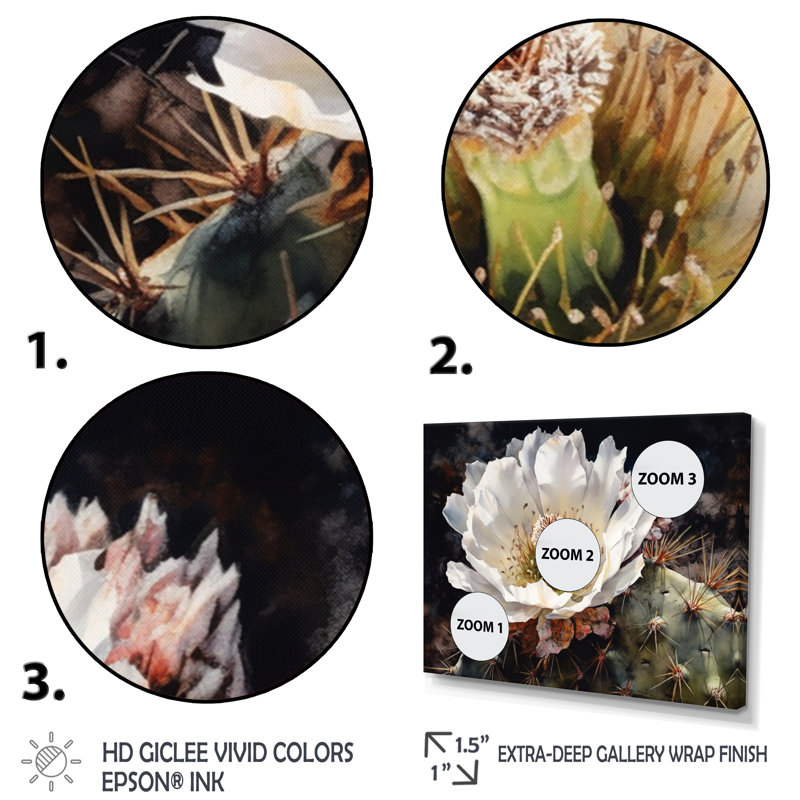 «Rozbeh White Green Cactus Flower II», reproduction sur toile, H 16 po x l 32 po x P 1 po, Cadre flottant doré