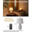 Ceramic Table Lamp