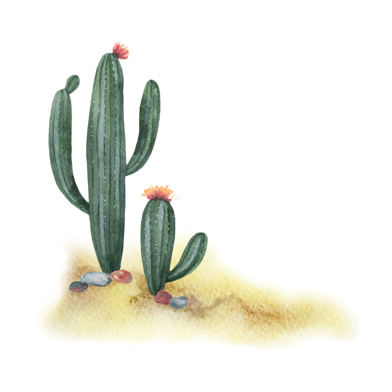 Cacti by ElenaMedvedeva - Wrapped Canvas Print, 91cm H x 91cm W x 3.8cm D