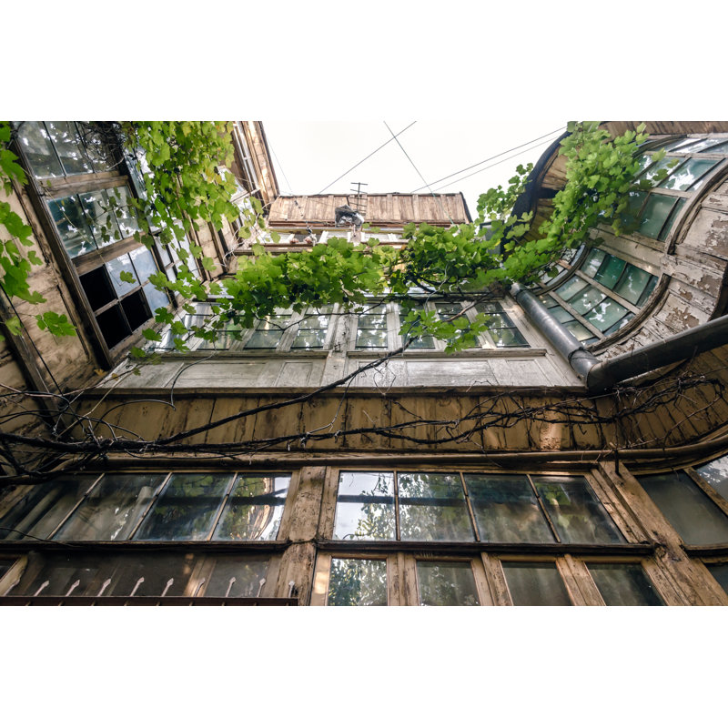 Georgia - Wrapped Canvas Print, 30cm H x 46cm W x 3.8cm D