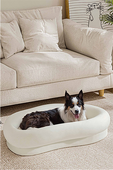 The Pet's Comfort Collection