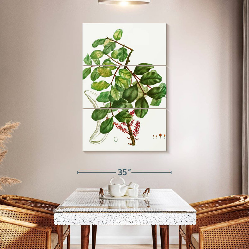 Keiri Carob Tree, 32" H x 20" W