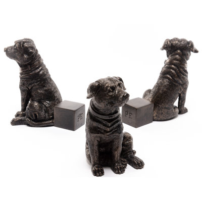 Staffordshire Terrier