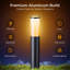 Matte Black Plug-in Integrated LED Pathway Light