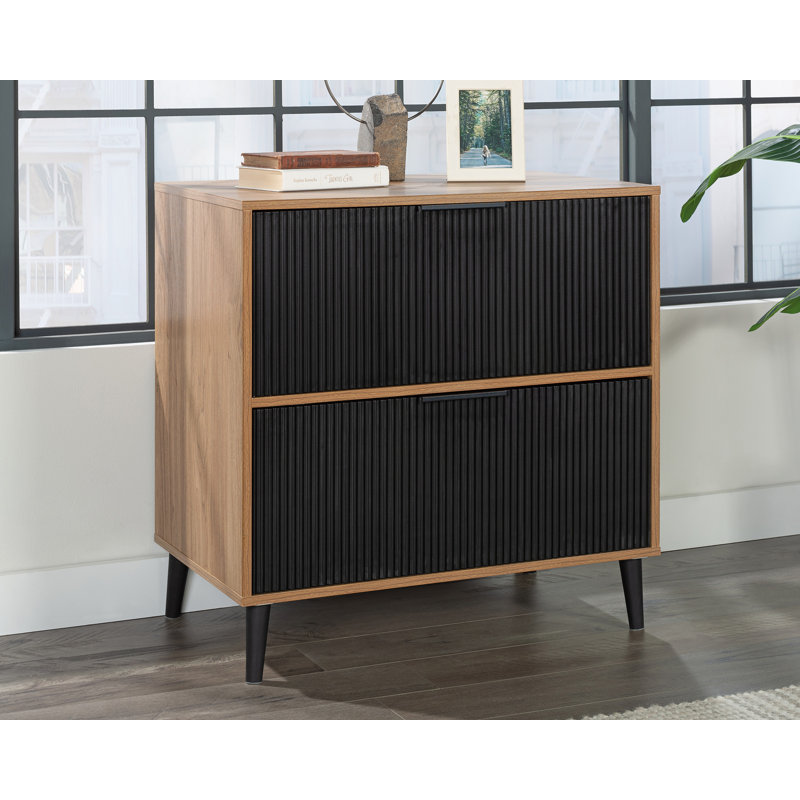 Aulis 29.5'' Wide 2 -Drawer File Cabinet