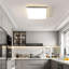 Briyona LED Flush Mount