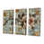 Toile tendue