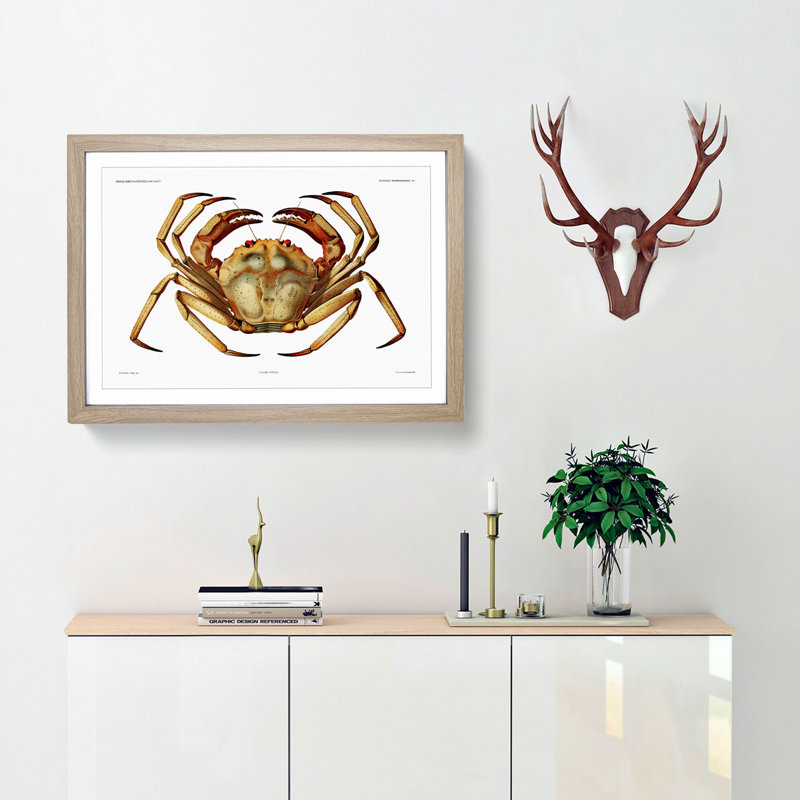 Atlantic Crab by Albert I - Framed Print, 45cm H x 63cm W x 2cm D, Oak Framed