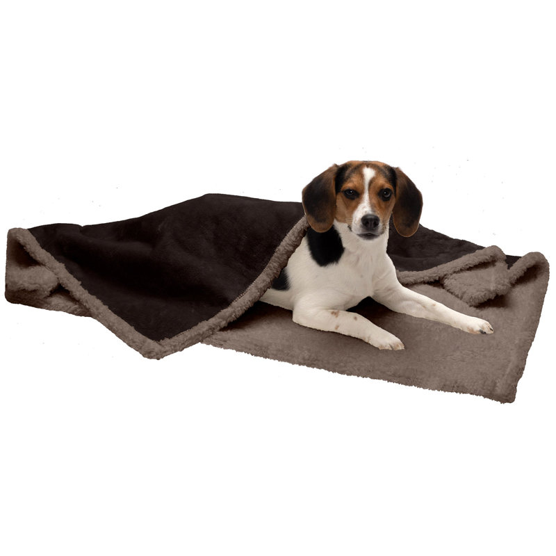 Medium Espresso Waterproof Self-Warming Pet Blanket