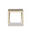 Caribe End Table