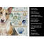 Serviette de cuisine miniature en verre tricolore Bull Terrier-1209194174