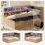 Damali Daybed-1179113105