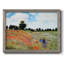 " Poppies By Monet "-746482719-746482705