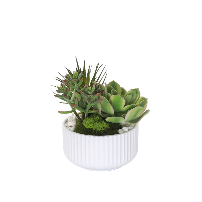 Faux Succulent, White