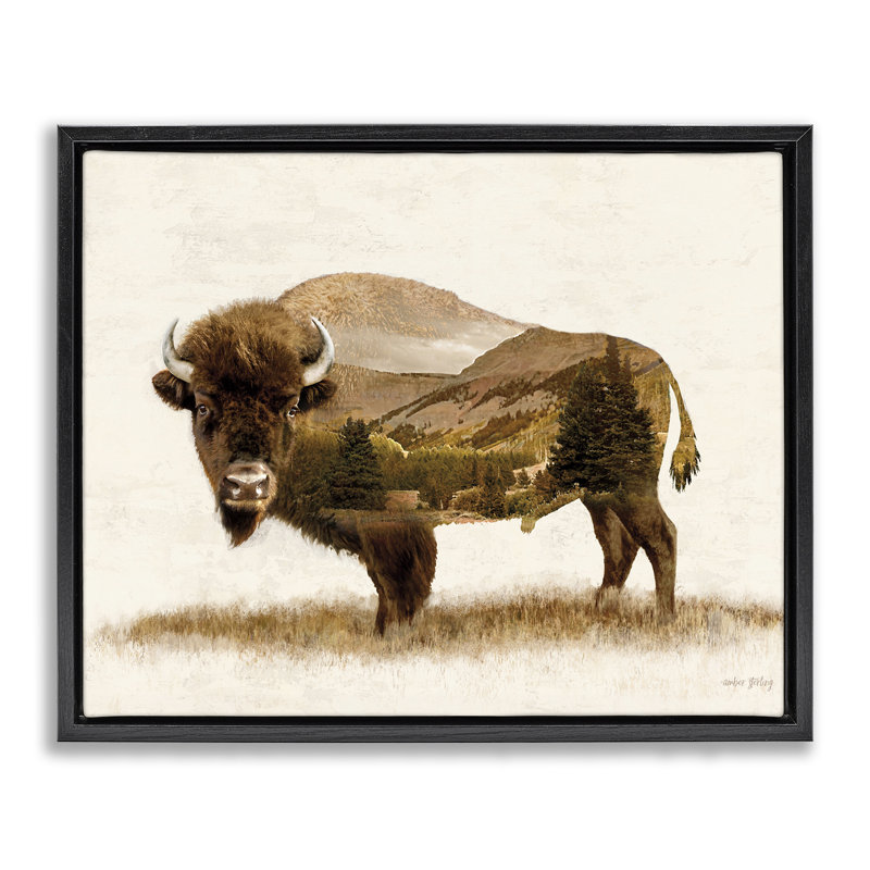 Art mural sur toile Nature Bison Floater par Amber Sterling, H 25 po x l 31 po, Cadre flottant noir de jais