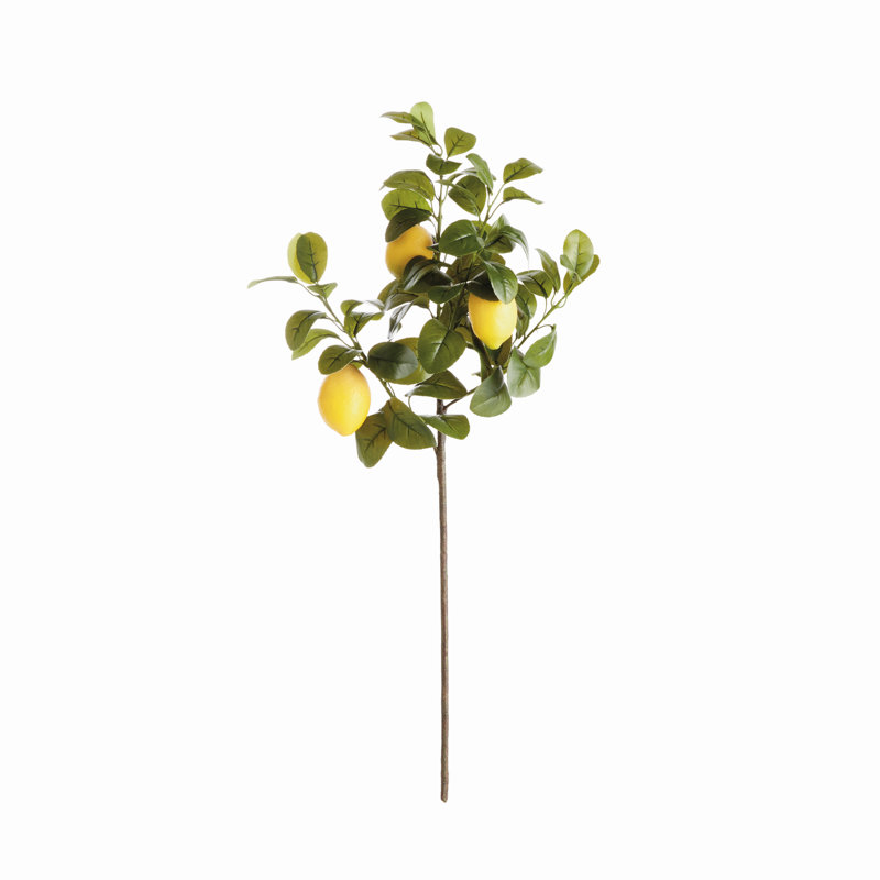FAUX TIGES DE LEMON 31 po, ensemble de 4