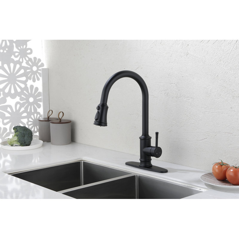 Kitchen Faucet With Pull Out Spraye