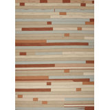 Striped Area Rug in Brown/Beige