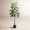52'' Faux Rubber Tree Tree in Polyethylene (Pe) Pot