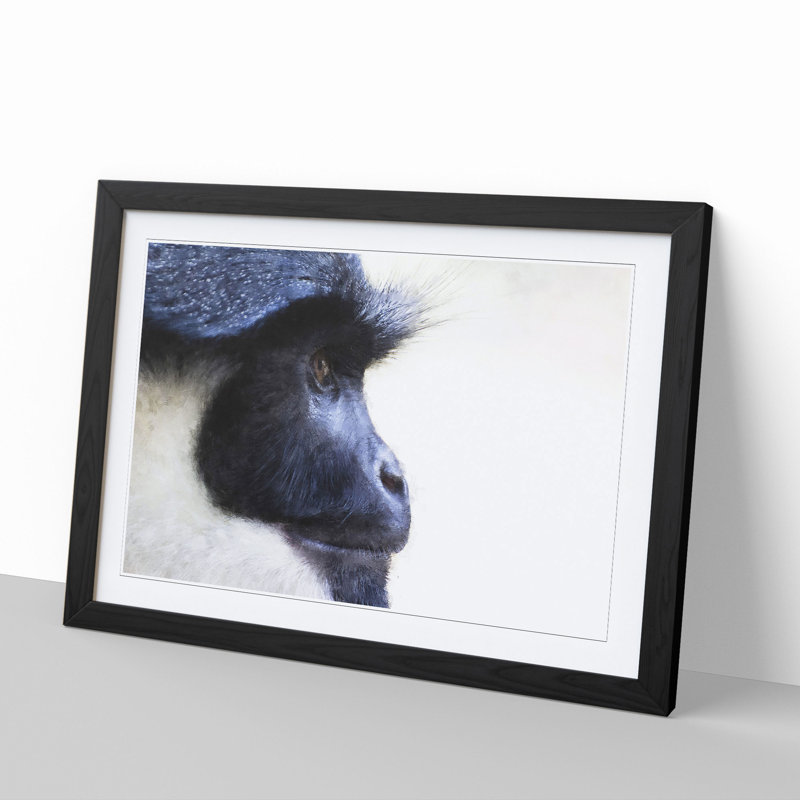 Colobus Monkey - Picture Frame Graphic Art, Black Framed, 36cm H x 48cm W x 2cm D