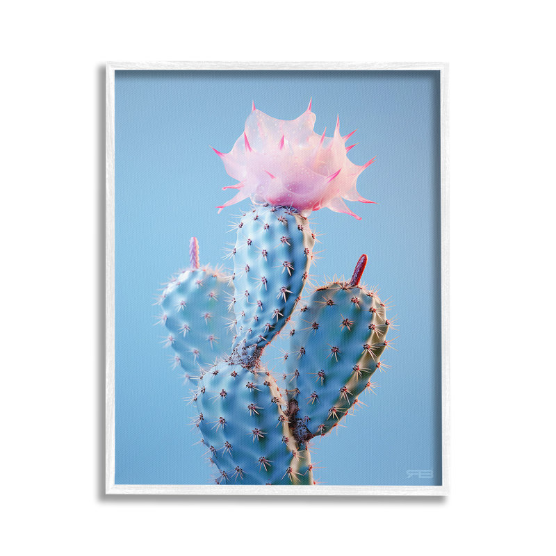 Pink Budding Cactus Flowers Single Picture Frame by RB Print on Canvas, Gray, 20" H x 16" W
