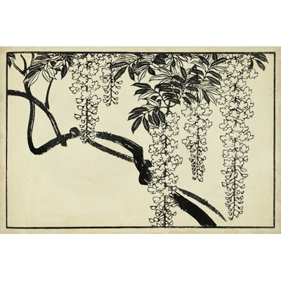 Wisteria japonais I B