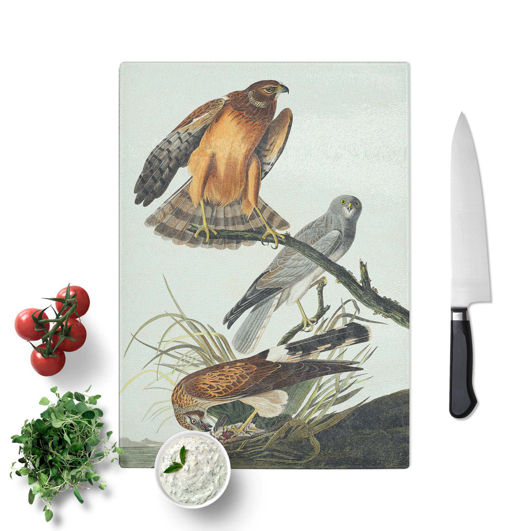 Glass Marsh Hawks by John James Audubon Chopping Board