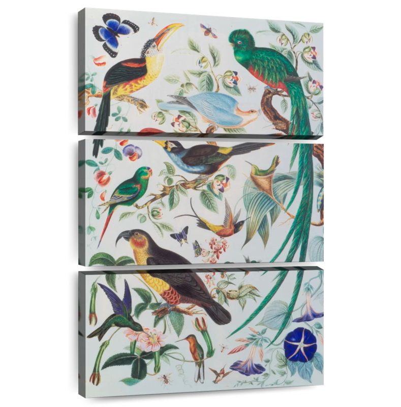 Brampt Exotic Parrots 1850, 65" H x 42" W