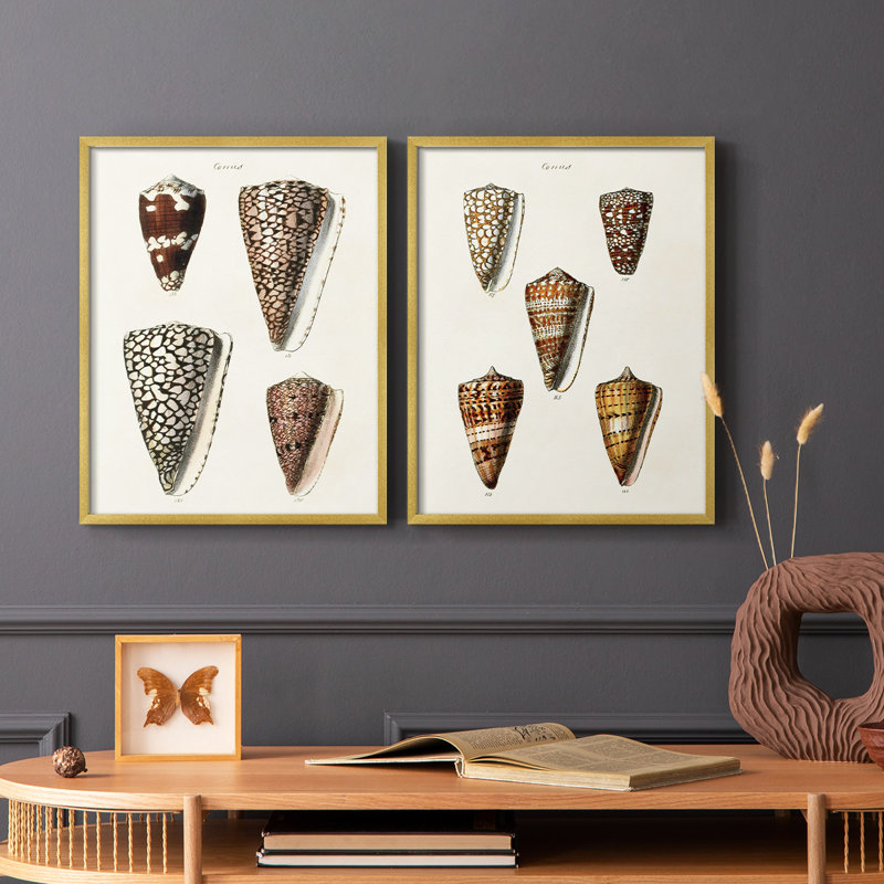 Impression encadrée de qualité supérieure Cone Shell - prêt à être accroché - aucun clou requis - aucun clou requis, Doré