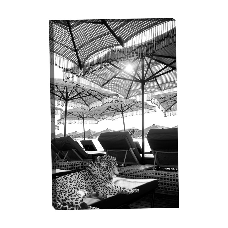 Leopard on a Tropical Vacation by Grotto Studios