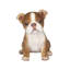 Polyresin Garden Statue-1677648703
