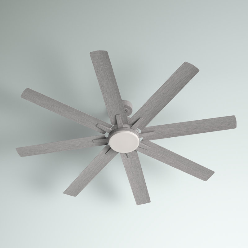 Ventilateur de plafond d'extérieur à DEL standard à 8 pales 72 po avec télécommande et ensemble d'éclairage inclus, Bois gris