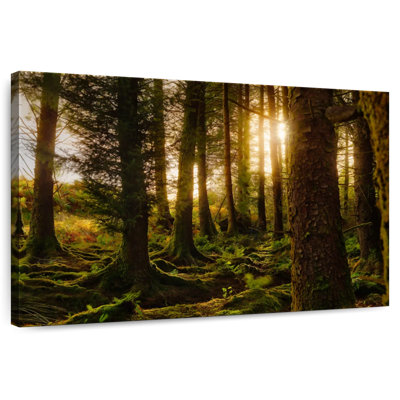 Harnek Kerry Country Forest