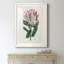 Protea N13 - Peinture encadrée-841114260-841114261