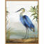 Reproduction d’art sur toile, "Blue Heron" par Aimee Wilson
