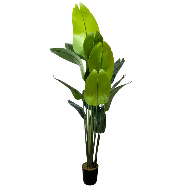 Plante artificielle oiseau de paradis 6 '
