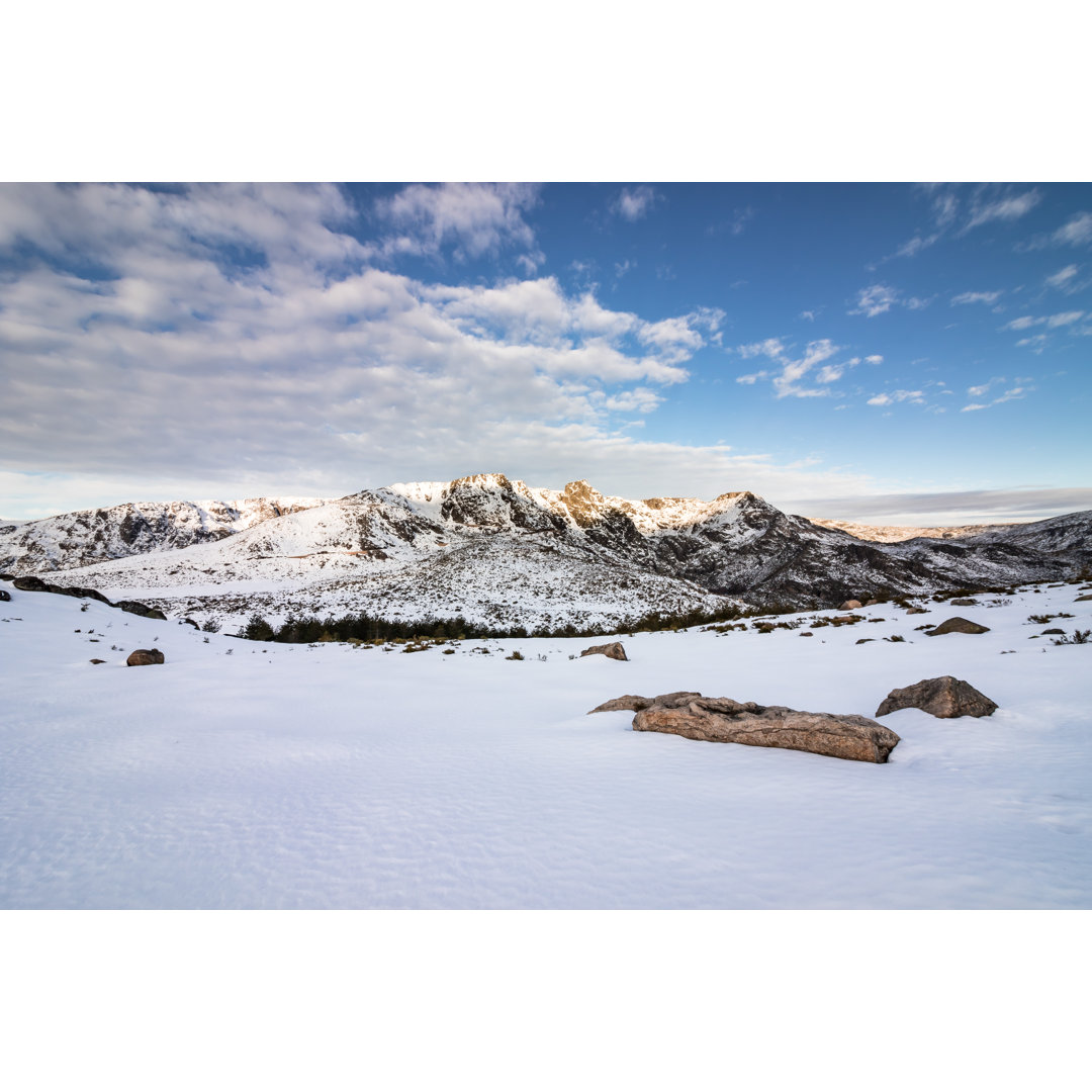 Serra Da Estrela von Tania Araujo - Kunstdrucke auf Leinwand