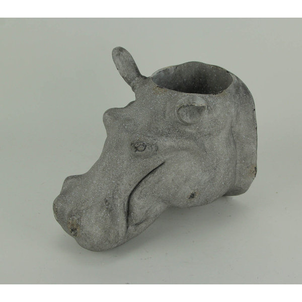Loon Peak® Briela Wall Planter | Wayfair Briela Wall Planter