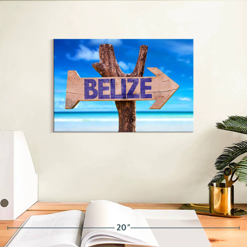 Panneau de plage Gillard Belize, H 8 po x l 12 po