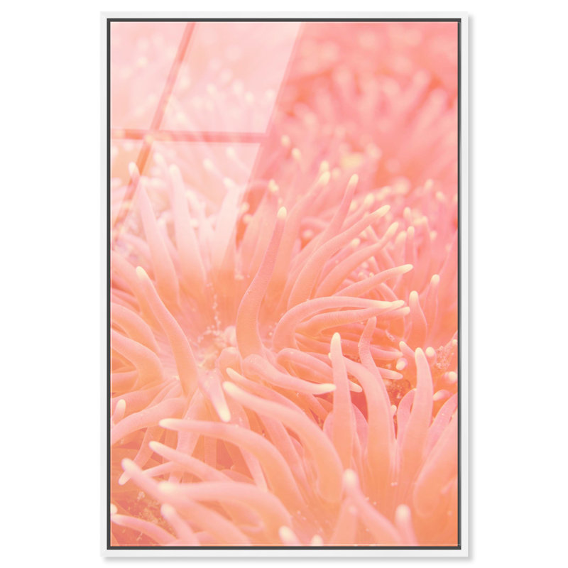 Deep Sea Flowers Print by Oliver Gal, 16"H x 11"W, White Floater Frame