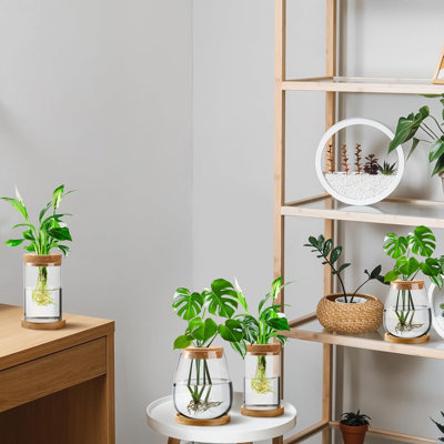 4 pots à fleurs avec pots en bois et couvercle en bambou pour plantes hydroponiques