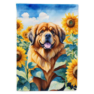 Drapeau de la maison du tournesol Malamute d'Alaska