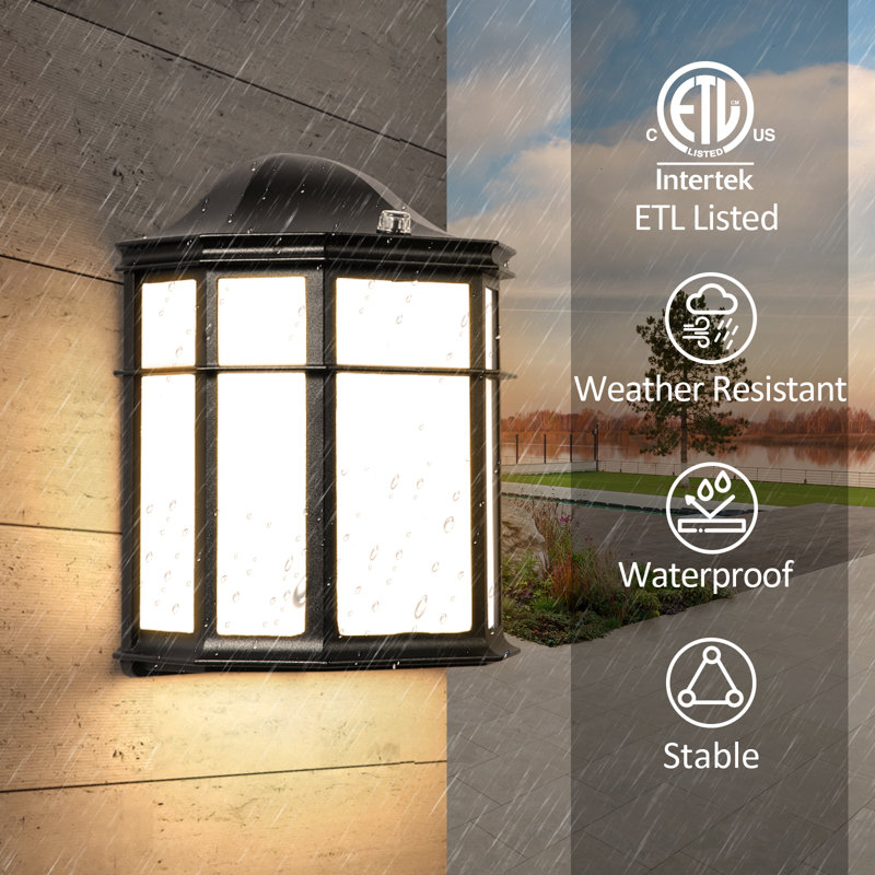 Damilja Wall Light