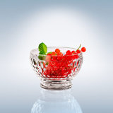 Villeroy & Boch Boston 14.5 oz. Dessert Bowl